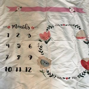 baby girl milestone blanket